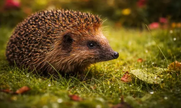 Umweltzentrum Chemnitz