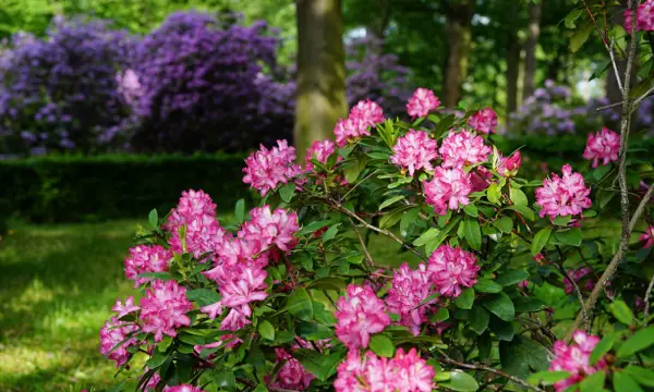 Schloss und Park Lichtenwalde