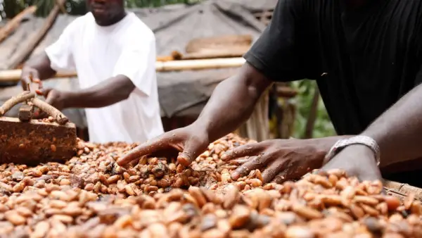 Königliches Kurhaus Bad Elster