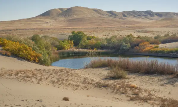 Museum für Naturkunde