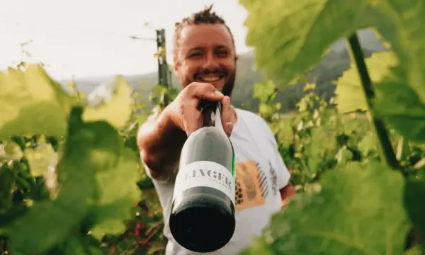 Kaßbergkeller - Vinothek & Weinbar