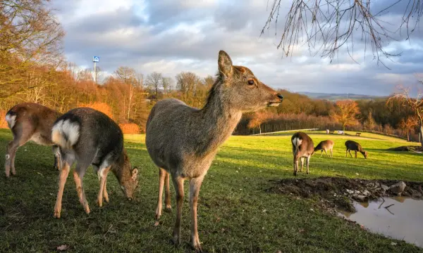Sonnenlandpark Lichtenau