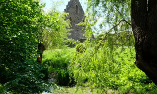 Klosterpark Altzella