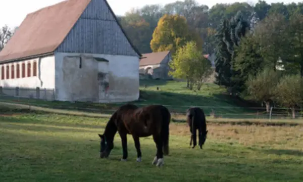 Klosterpark Altzella