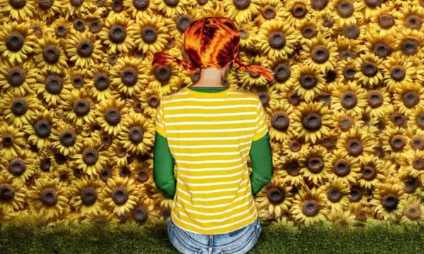 Naturbühne Greifensteine