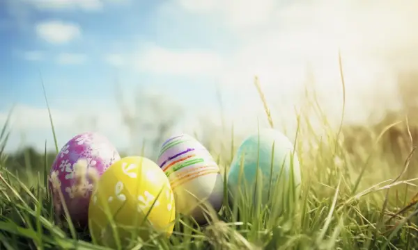 Abenteuerspielplatz Otto-Hofmann-Straße