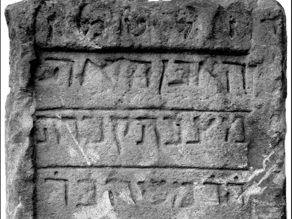 smac – Staatliches Museum für Archäologie Chemnitz