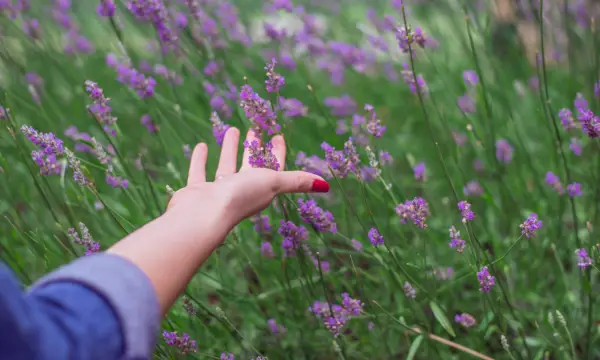 Parkplatz an der alten Turnhalle
