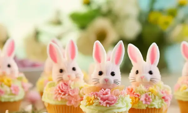 Peacefood Unverpackt