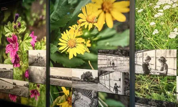 Kunstsammlungen  am Theaterplatz