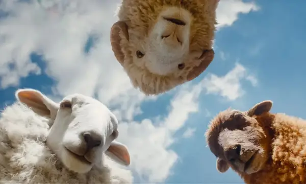 Filmpalast Astoria Zwickau