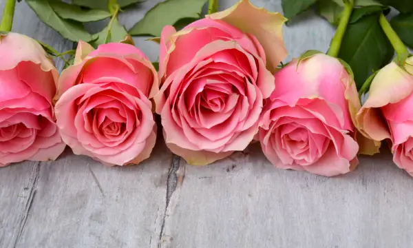 Kultur.Palais.Lichtenstein