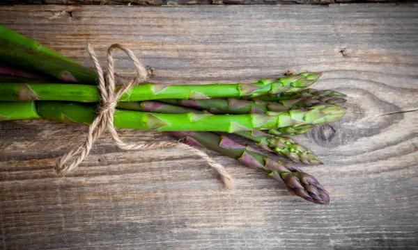 Markthaus -  The Cook Family