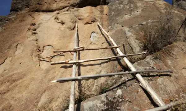 Fenster in die Erdgeschichte