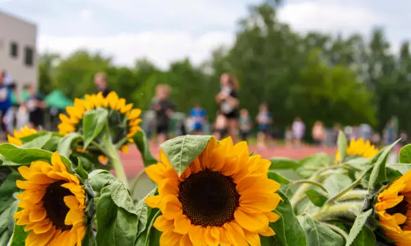Jutta Müller Eissportzentrum