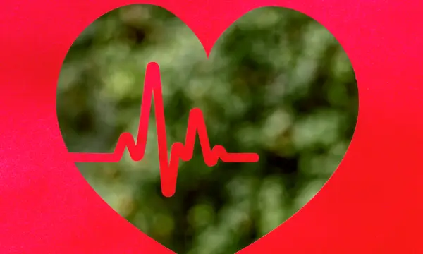 Klinikum Chemnitz / Standort Küchwald