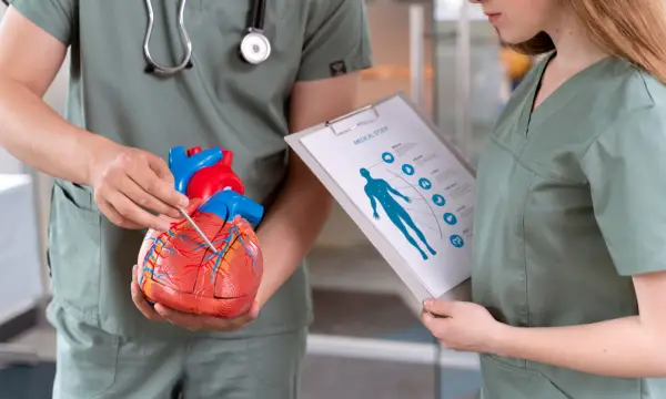 Klinikum Chemnitz / Standort Küchwald